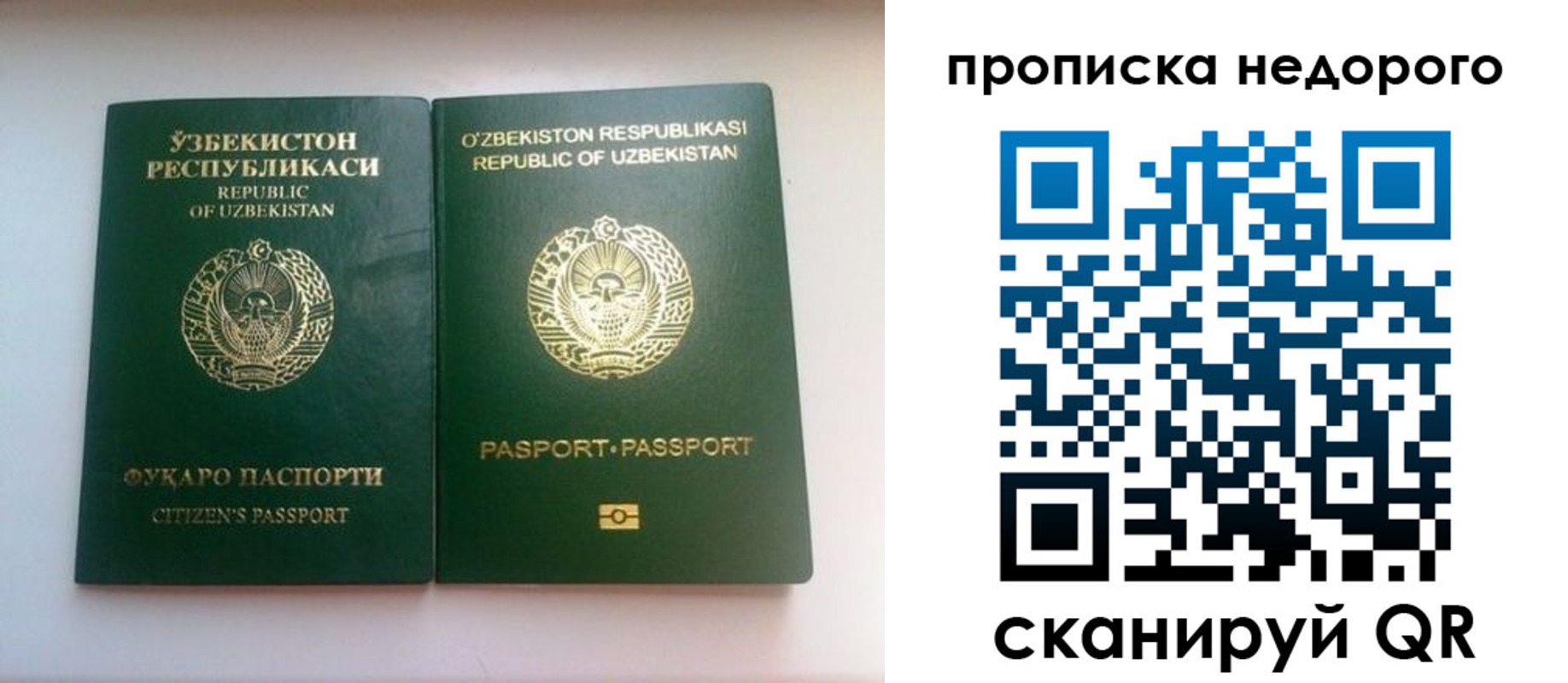 регистрация в Новотроицке